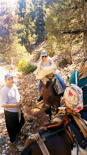 Bilin bakalım At sırtındaki bu kızlar acaba nereye gidiyor