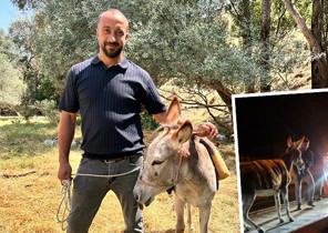 Eşeğinin başına gelenleri duyunca inanamadı: Arkadaşı link atıp haber verdi | Videoyu izleyince hemen 112yi aradım