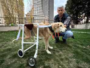 Yürüteç değil yaşam umudu