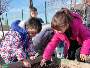 Yağmur hasadıyla çevre bilinci