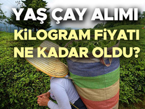 YAŞ ÇAY ALIMI 2026 KİLOGRAMI FİYATI AÇIKLANDI SON DAKİKA || Yaş çay fiyatı ne kadar, kaç TL oldu Tarım ve Orman Bakanlığı duyurdu İşte 2026 yılı yaş çay alımı kilogram fiyatı