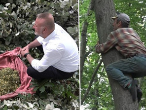 Avrupanın en büyük ormanlarından birinde toplanıyor: Dalında 3 bin liradan satılıyor