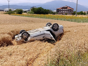 Buğday tarlasına uçan otomobilin sürücüsü yaralandı