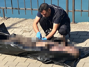 Parkta yürüyenleri şoke eden görüntü