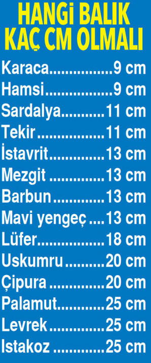Balıklara sıkı denetim