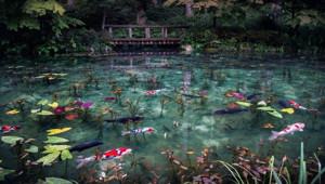 Tıpkı bir tablo gibi: Monets Pond Gölü / Japonya