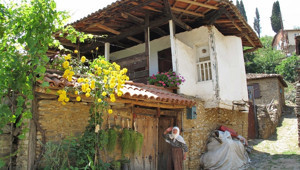 Egenin incisi: Birgi / İzmir