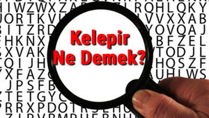 Kelepir Ne Demek Kelepir Nedir Kelepir Tdk Kelime Anlamı