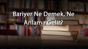 Bariyer Ne Demek, Ne Anlama Gelir Bariyer Kelimesinin Tdk Sözlük Anlamı