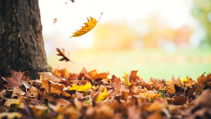 Hoşgeldin Kasım ayı sözleri ve mesajları 2025 | Kasım ayı ile ilgili mesajlar ve sözler