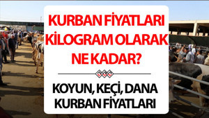 KURBAN FİYATLARI 2025 CANLI (KİLO) - BU YILIN RAKAMLARI || Bu yıl koyun, keçi, küçükbaş, dana, büyükbaş kurbanlık fiyatları ne kadar, kaç TL