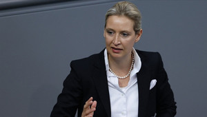 Weidel’e sindirme suçlaması