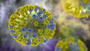 H3N2 nedir, belirtileri neler H3N2 virüsü Türkiyede var mı