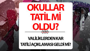 Bugün okullar tatil mi 10 Şubat 2026 son dakika | Ağrı, Erzurum, Van, Bingöl, Karsta okullar tatil oldu mu, okul var mı, okullar nerelerde tatil edildi Valilikten açıklama geldi