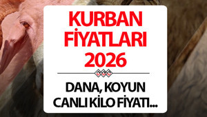 KURBAN FİYATLARI 2026 CANLI KİLO FİYATI || Kurbanlık fiyatları ne kadar Bu yıl koyun, keçi, küçükbaş, dana, büyükbaş kurbanlık fiyatları ne kadar, kaç TL