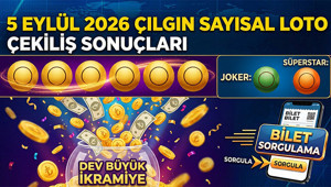 Çılgın Sayısal Loto Sonuçları Açıklandı 5 Eylül 2026 Çılgın Sayısal Loto Çekiliş Sonuçları Ve Bilet Sorgulama Ekranı