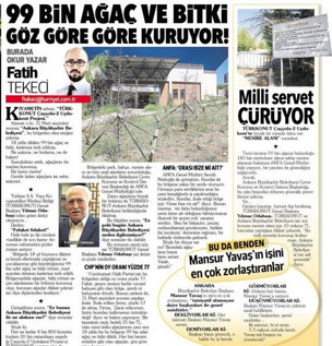 730 ağaç kurumuş ve kesilmiş