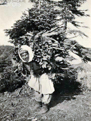 Cevizin kalınlığı boynunu geçerse o boyun gider