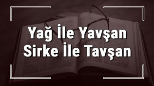 Yağ İle Yavşan Sirke İle Tavşan atasözünün anlamı ve örnek cümle içinde kullanımı (TDK)