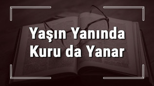 Yaşın Yanında Kuru da Yanar atasözünün anlamı ve örnek cümle içinde kullanımı (TDK)