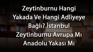 Zeytinburnu Hangi Yakada Ve Hangi Adliyeye Bağlı? İstanbul Zeytinburnu Avrupa Mı Anadolu Yakası Mı Zeytinburnu Hangi Yakada Ve Hangi Adliyeye Bağlı? İstanbul Zeytinburnu Avrupa Mı Anadolu Yakası Mı