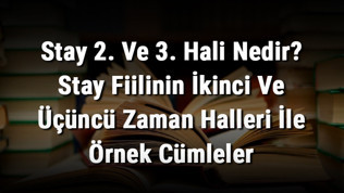 Stay 2. Ve 3. Hali Nedir? Stay Fiilinin İkinci Ve Üçüncü Zaman Halleri İle Örnek Cümleler