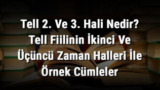 Tell 2. Ve 3. Hali Nedir? Tell Fiilinin İkinci Ve Üçüncü Zaman Halleri İle Örnek Cümleler