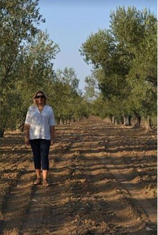 Zeytinin amazonları