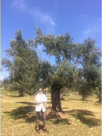 Zeytinin amazonları