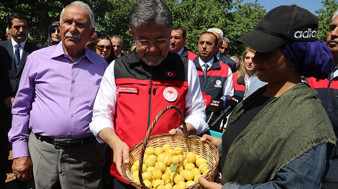Türkiye kayısı üretiminde dünyada zirvede