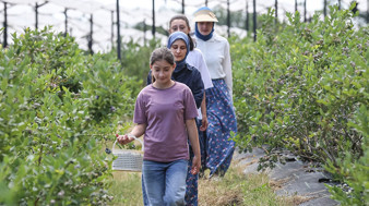 Köye dönüş yaptılar, şimdi dünya pazarına ürün satıyorlar