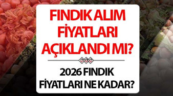 FINDIK ALIM FİYATLARI 2026 SON DAKİKA BELLİ OLDU || TMO fındık fiyatları ne kadar? Yaş fındık fiyatları kaç TL oldu? İşte Levant ve Giresun kalite fındık taban fiyatları bilgisi!