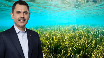 Bakan Kurum'dan Göcek'teki deniz çayırlarına ilişkin paylaşım