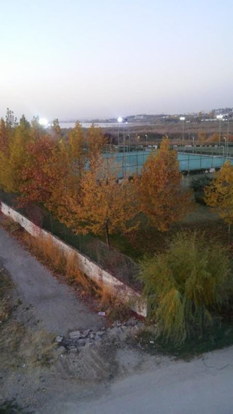 Utanç manzarası
