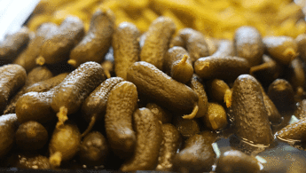 4 bin yıllık doğal salgın savaşçısı: Turşu