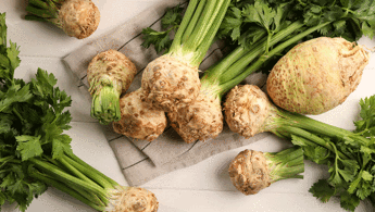 Kereviz dondurulur mu Kereviz uzun süre nasıl saklanır