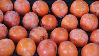 Kış aylarının enerji veren lezzeti: Cennet elması