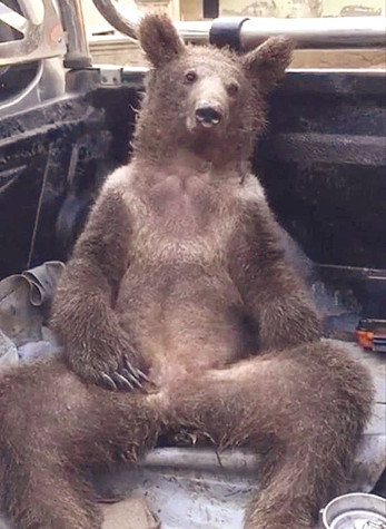 En alçak saldırı: Bayrağa saldırı