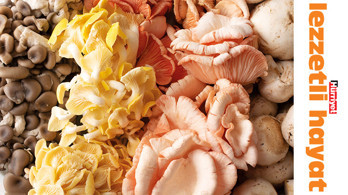 Sonbaharın kıymetlisi, doğanın soframıza hediyesi