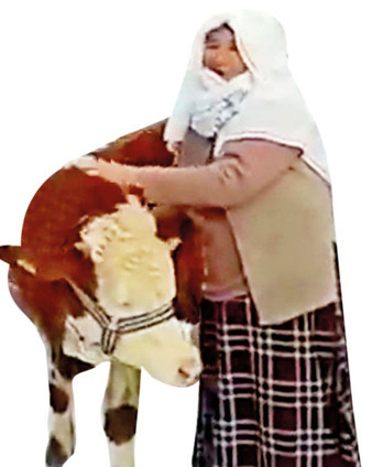 Milli mücadele ruhu ayakta... Bir millet topyekûn yaralarını sarıyor
