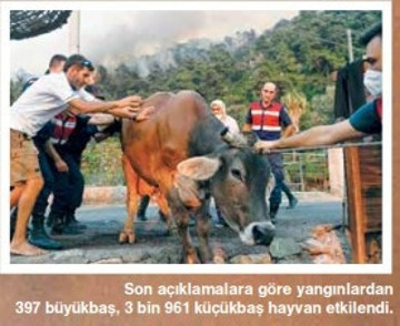 Doğanın gerçekleriyle ezberimizdekiler farklı