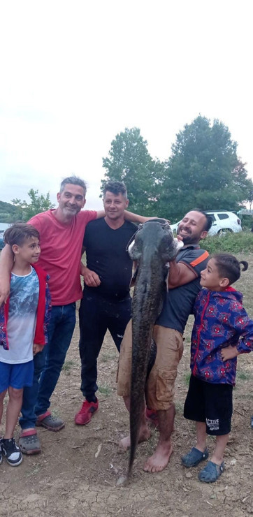 Sakaryada 8 yaşındaki çocuk, 20 kiloluk balık yakaladı