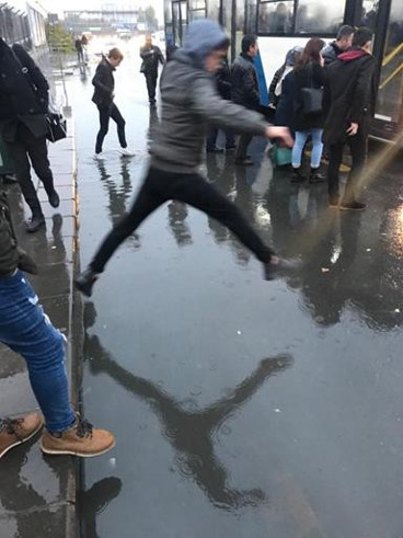 730 ağaç kurumuş ve kesilmiş