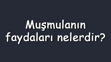Muşmulanın faydaları nelerdir Neye iyi gelir Çekirdeğini yutmak zararlı mı