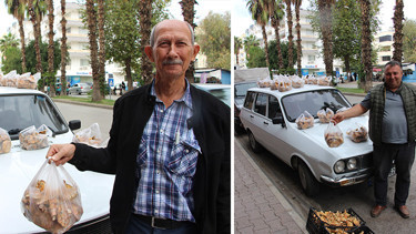 Ormanlarda kendiliğinden yetişiyor Bölge halkının geçim kaynağı oldu... Kilosu 500 liraya kadar çıkıyor