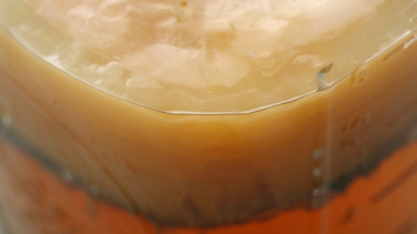 Bağışıklığı güçlendiriyor, tansiyonu dahi düzenliyor Sağlıklı yaşamın yeni trendi, fermente besinler