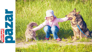 Kedi ve köpeklerin sağlığı için 6 önemli konu