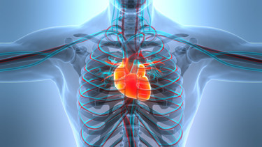 Soğuk havada kalp krizi riski yaklaşık 3 kat artıyor Dikkat etmeniz gereken en önemli kural ise…