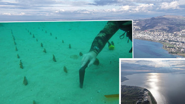 Çanakkale Boğazı santim santim ölçülüyor: Bir yıl içinde 30 santimetreye ulaştı Adeta birer mezarlığa dönüştüğünü gördük