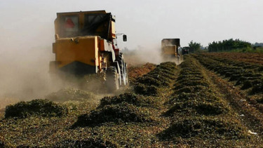 MAZOT GÜBRE DESTEĞİ NE ZAMAN YATACAK 2026 (SORGULAMA) | Temel Destek ödemesi verilecek mi, mazot ve gübre desteği ödeme tarihi belli oldu mu, yattı mı Tarım ve Orman Bakanlığı ödeme takvimi bilgisi